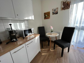 Apartamenty Kielce- Apartament Zacisze przy Baseny Tropikalne, Kadzielnia, parking, faktura,centrum